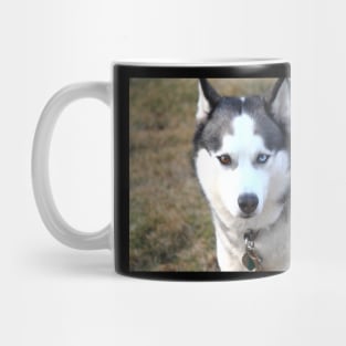 Husky love Mug